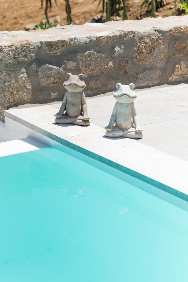 Dioni Villa Mykonos Paraga  Esterno foto
