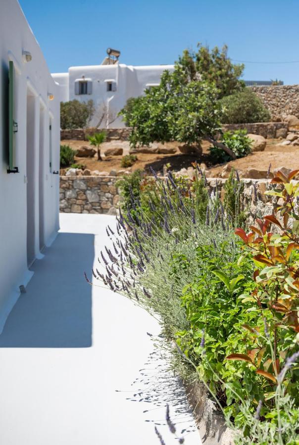 Dioni Villa Mykonos Paraga  Esterno foto